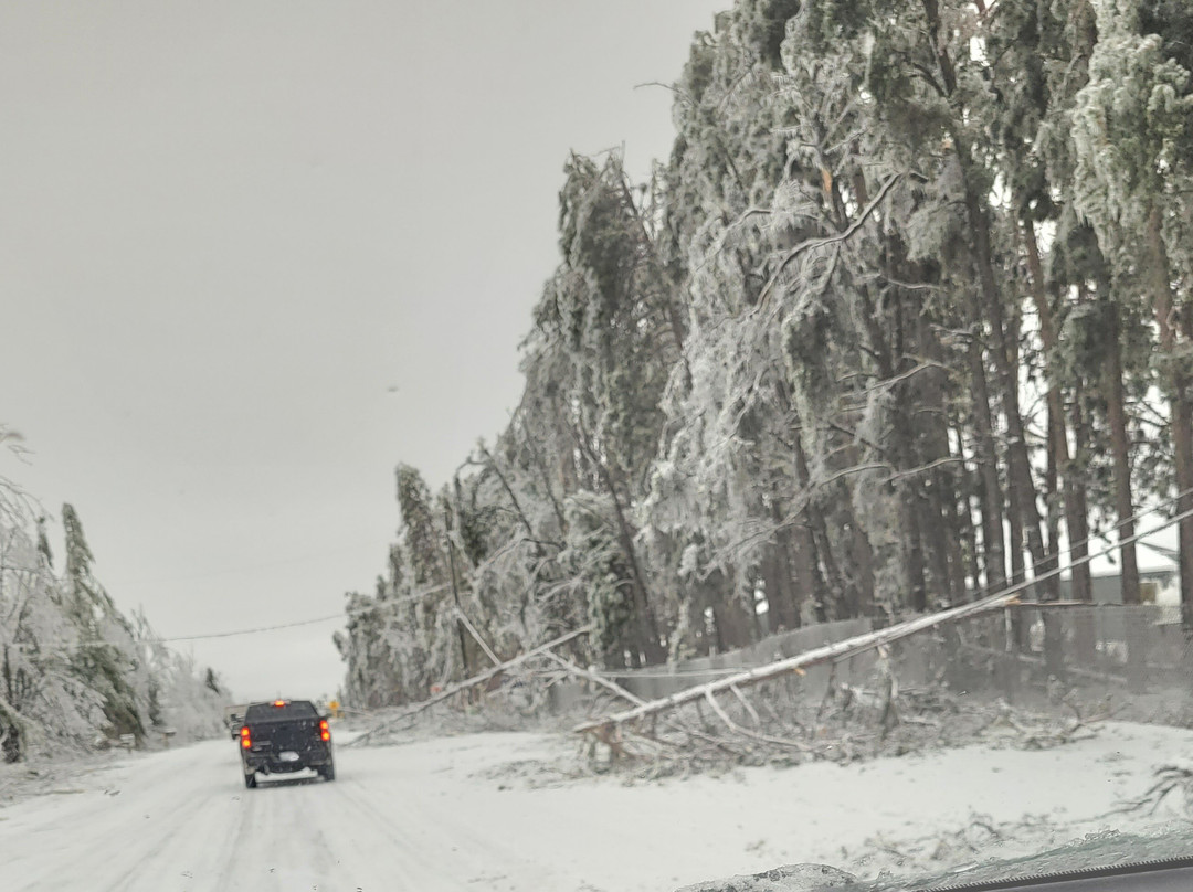 Fairfield Inn & Suites Gaylord主图