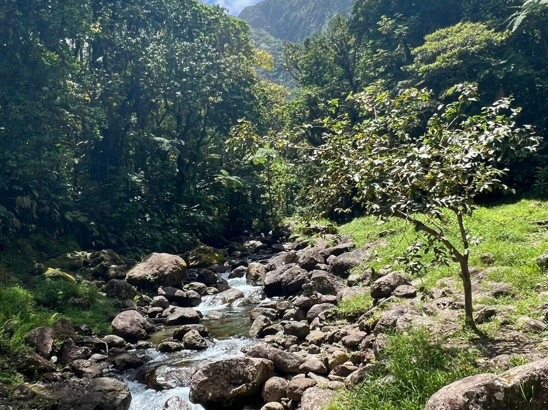 Randonnée de la Trace des Jésuites-Fonds Saint Denis必去景点