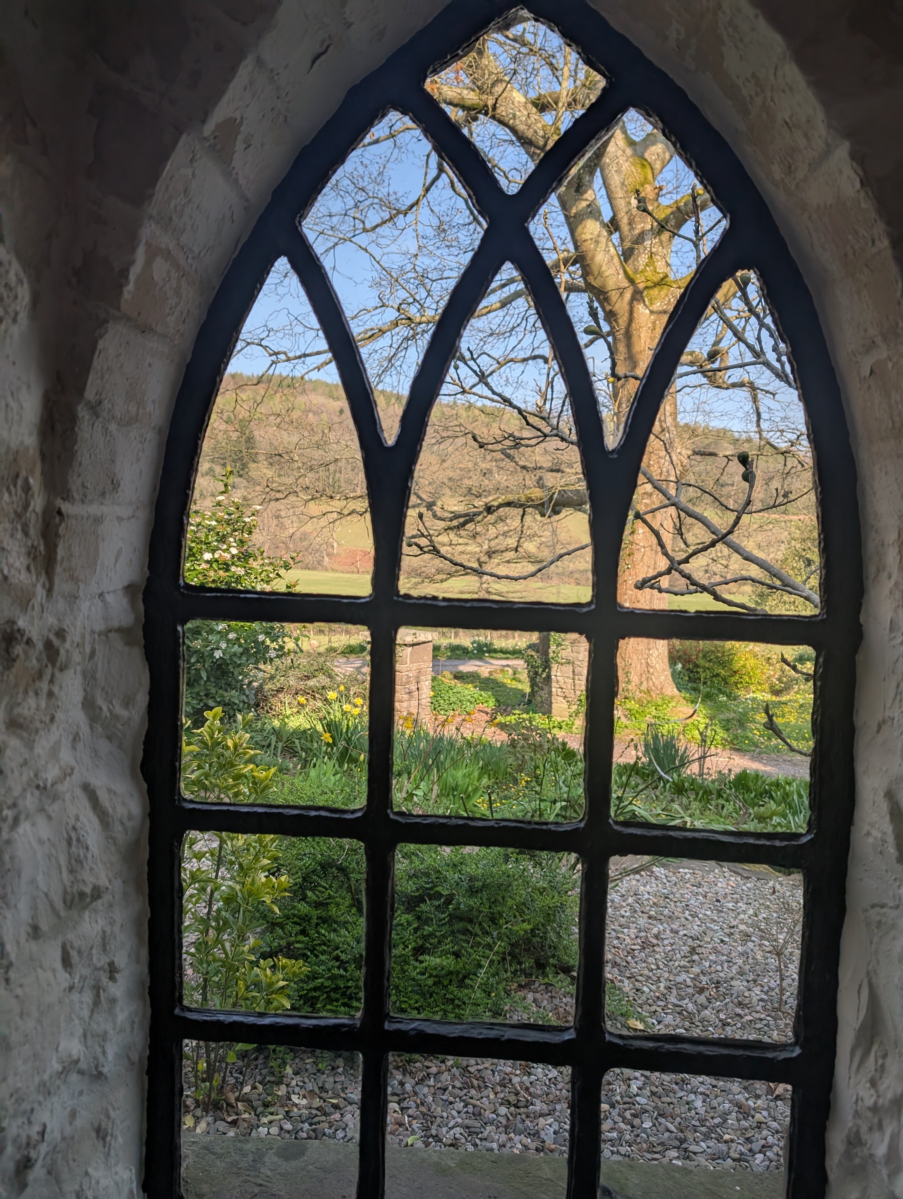 Llanddetty Hall Farm-酒店景观