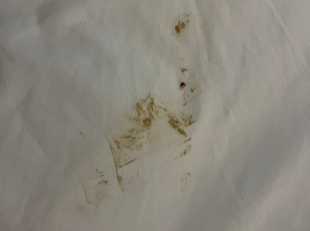 Super 8 by Wyndham Butte MT主图