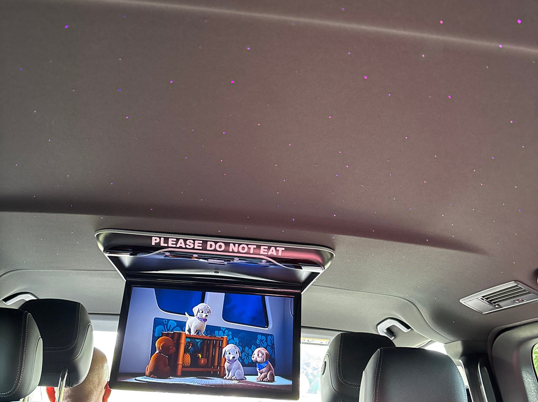 Paris Disney Transfer景点图片
