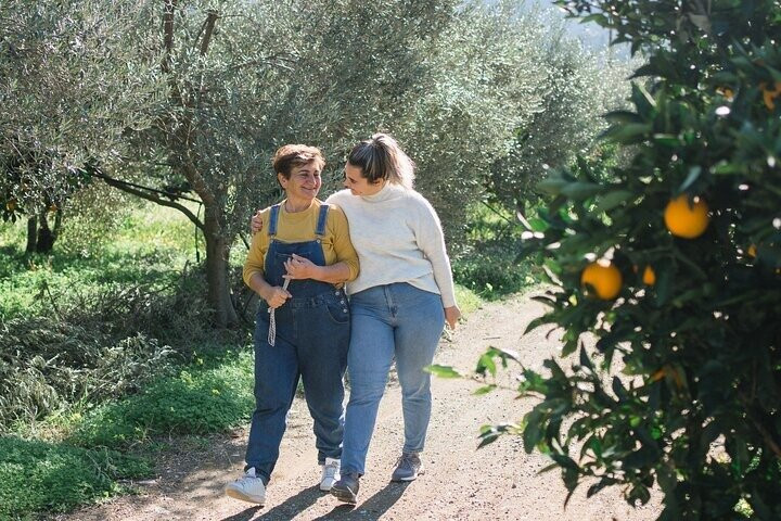 Eco Farm Tour with Lunch in our Organic Olive and Lemon Grove