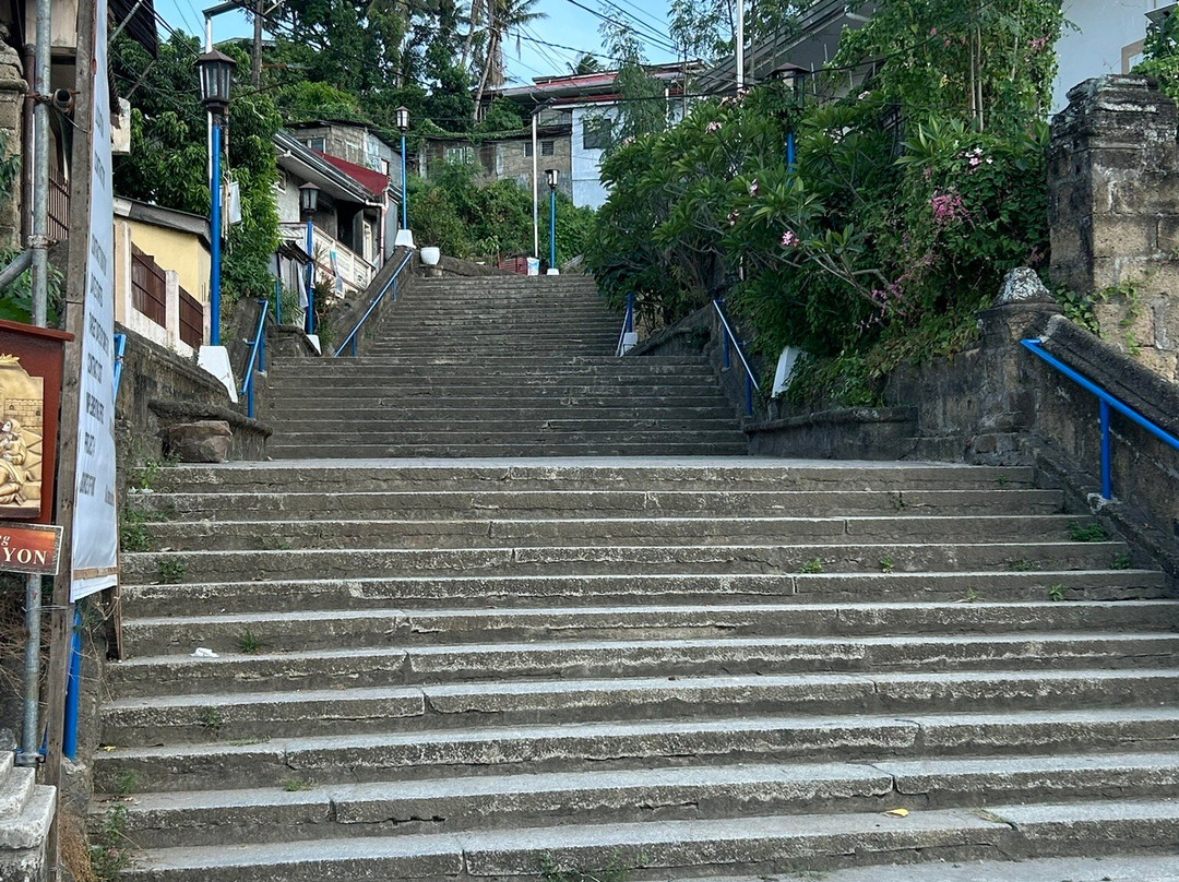 Our Lady of Mt Carmel Church景点图片