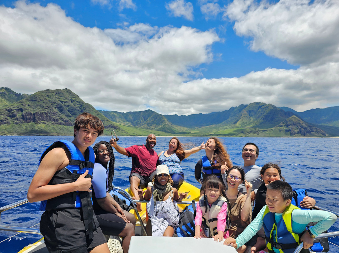 海豚潜水之旅-怀厄奈必去景点