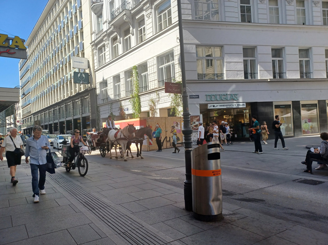 Mariahilfer Strasse-维也纳必去景点