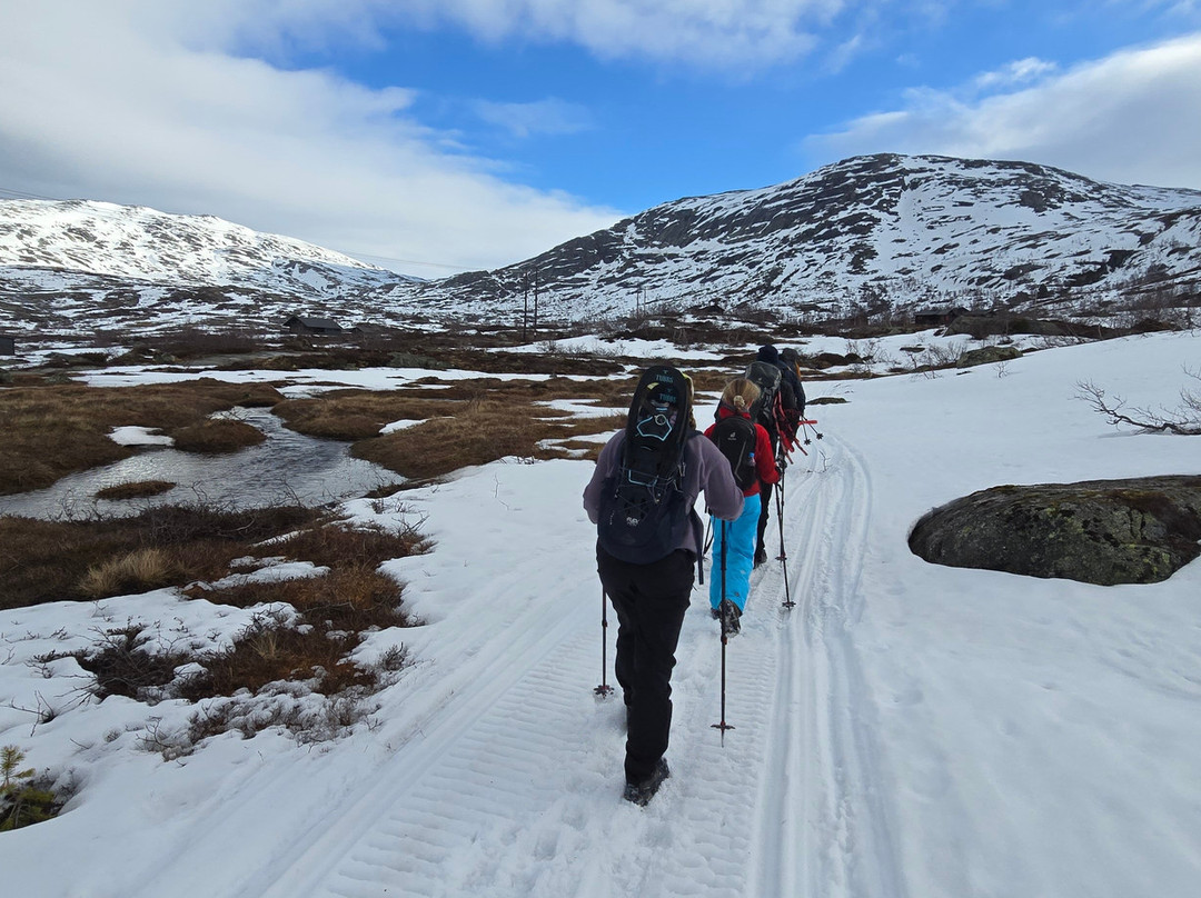 Trolltunga Adventures景点图片