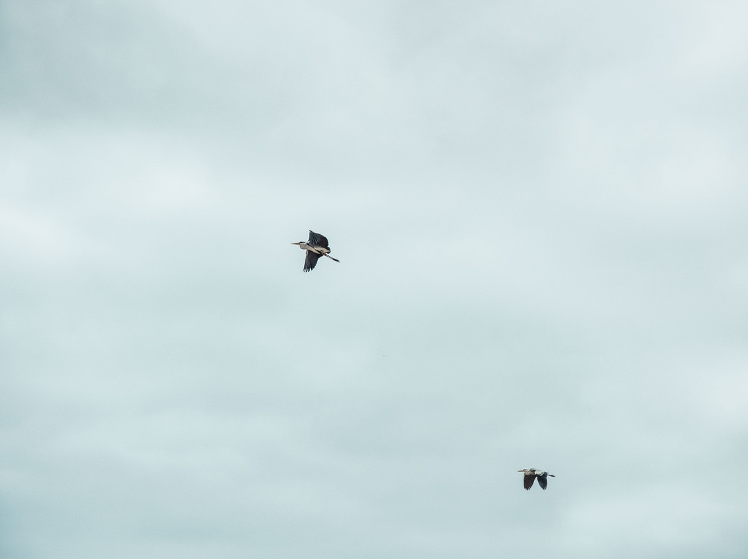 Travel Uncharted-华维斯湾必去景点