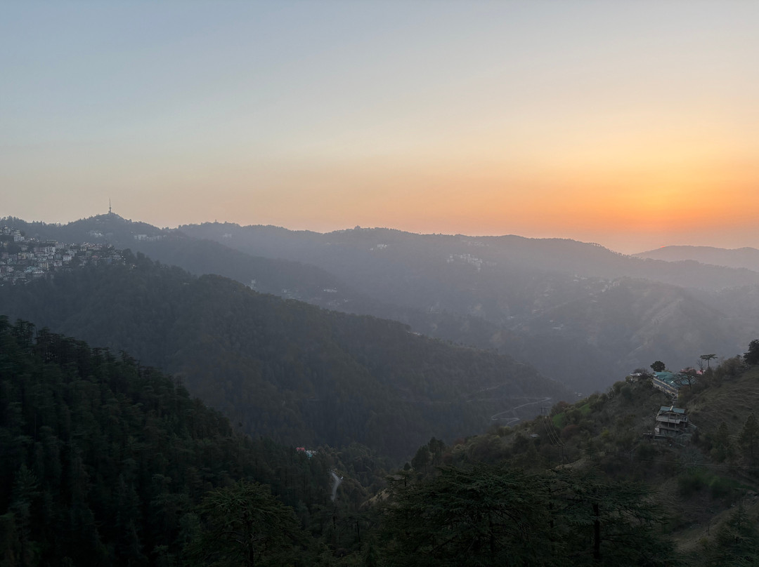 The Bodhi Tree BNB主图