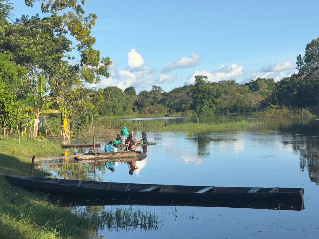 Amazonas Jungle Tours Operator景点图片