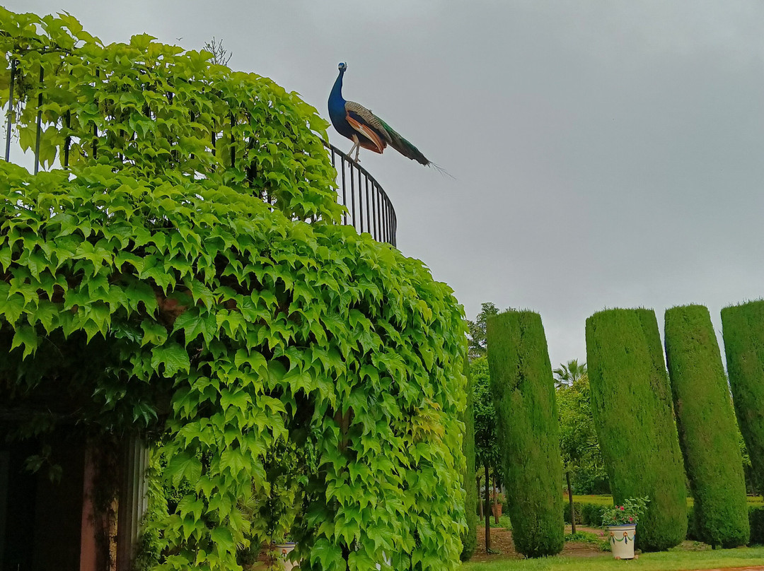 L'Albarda Garden景点图片