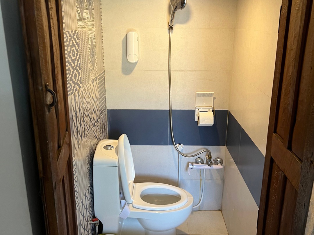 Traditional Behrouzi Hotel主图