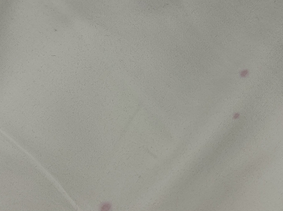 威廉格雷酒店主图