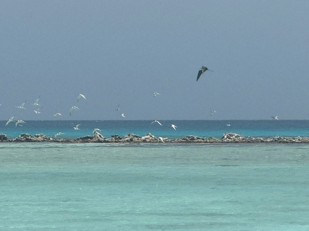 Posada Lagunita主图