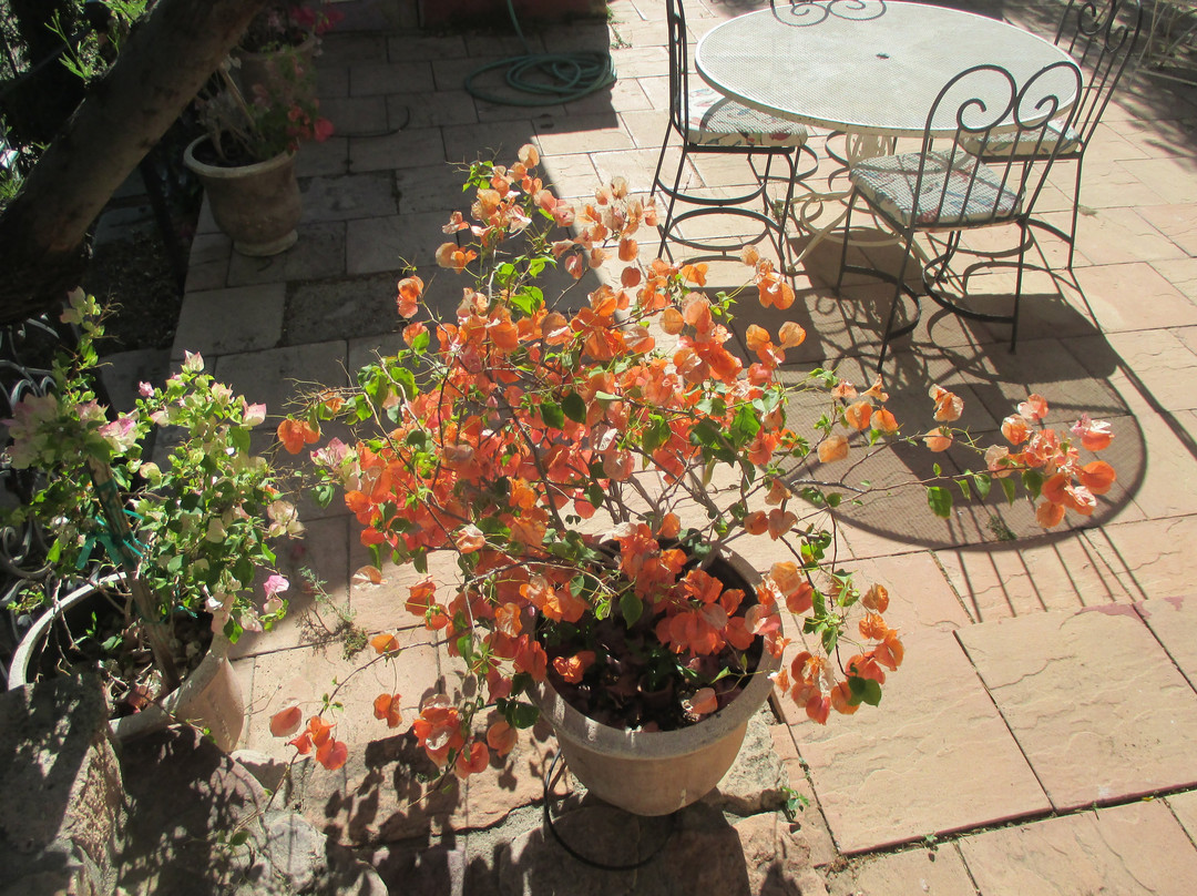 Chrysocolla Inn主图