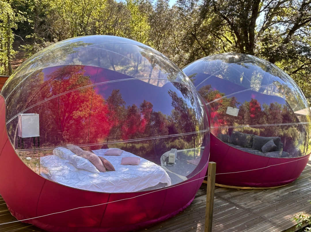 Les Perles Catalanes主图