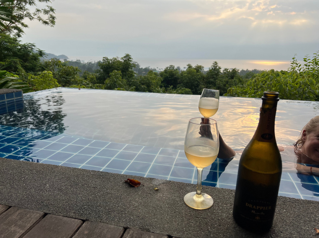 帕里斯奢华精品别墅主图