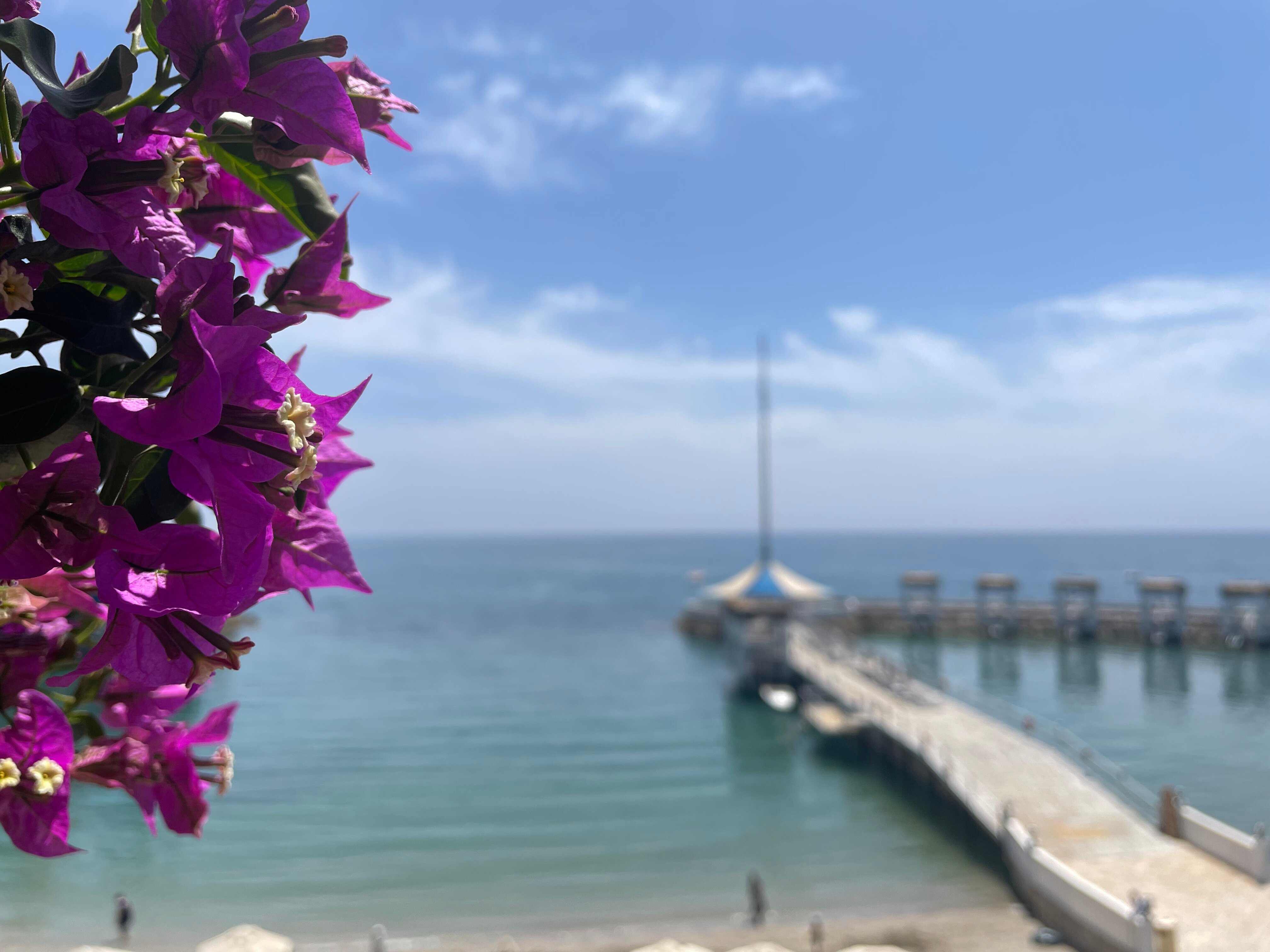 Adin Resort Hotel-官方
