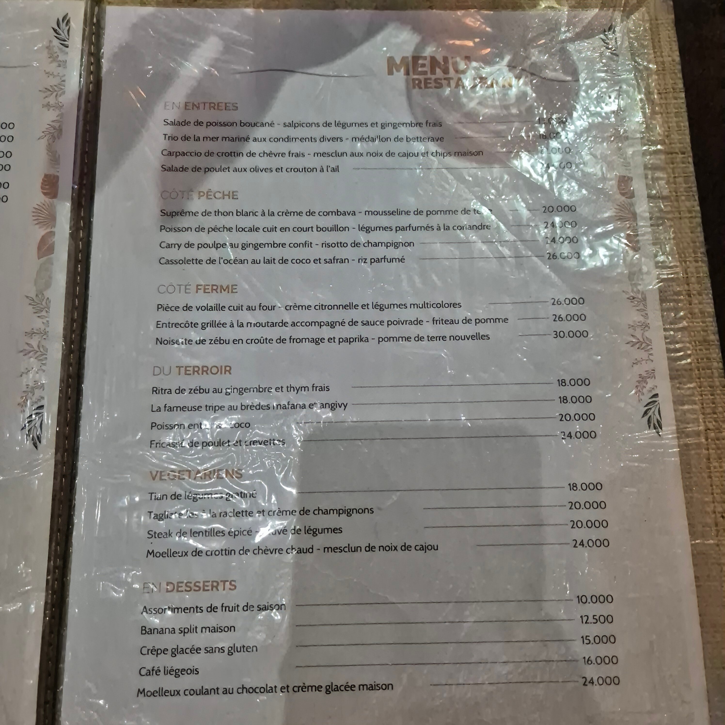 Moringa Hotel-官方