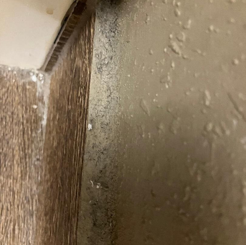 Comfort Suites Near Route 66主图