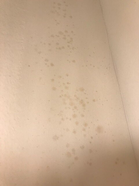 格尼罗索公寓式酒店主图