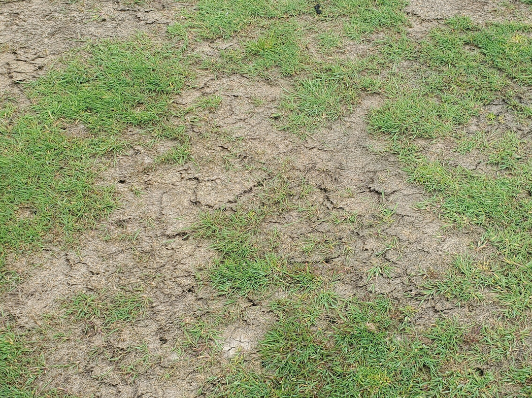 Maumee Bay State Park Golf Course-Oregon必去景点