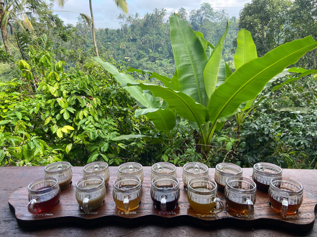 Mount Batur Sunrise Trekking-登巴萨必去景点