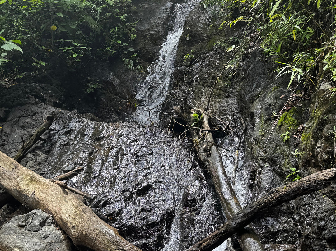 Neofauna Costa Rica-哈科必去景点