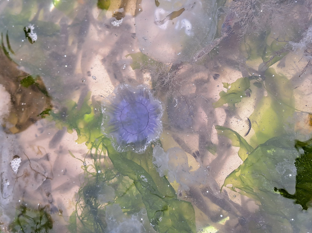 Expeditie Waddenzee-Ballum必去景点