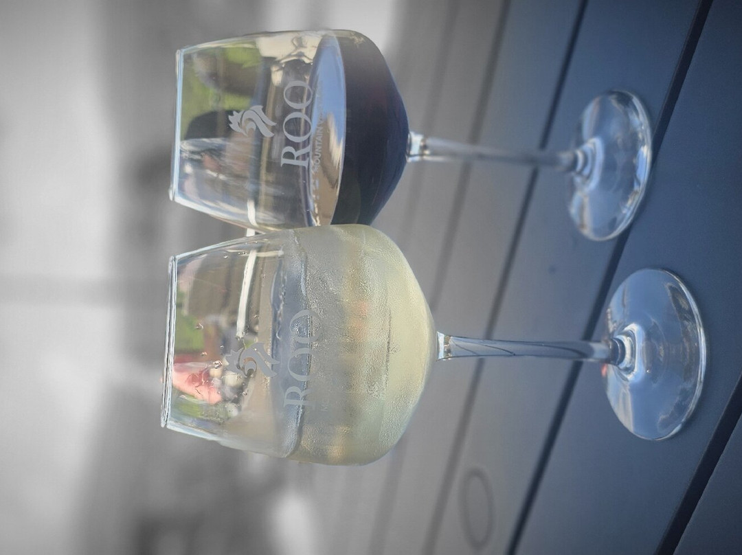 Roo Mountain Vineyards-Ellijay必去景点