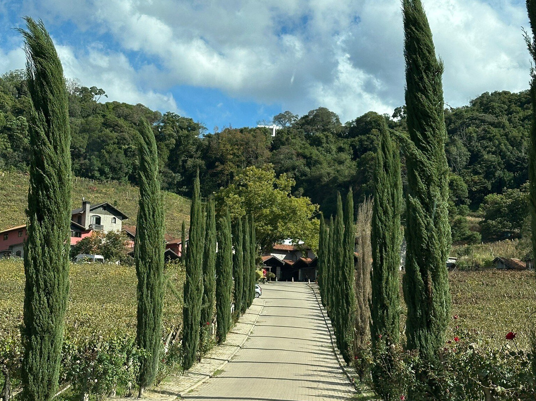 Cantina Tonet Winery-南卡希亚斯必去景点