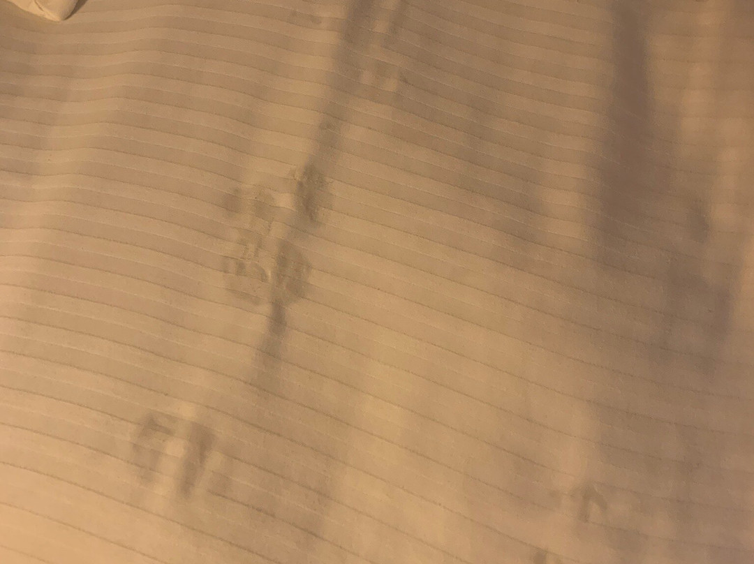 Quality Inn Marshall主图