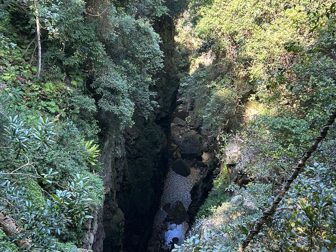 Minnamurra Falls-Jamberoo必去景点