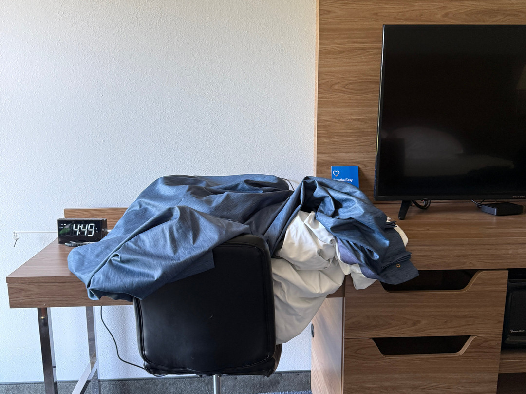 Comfort Inn Bellingham主图