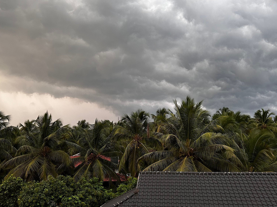 Milife Medicity & Health Resort主图