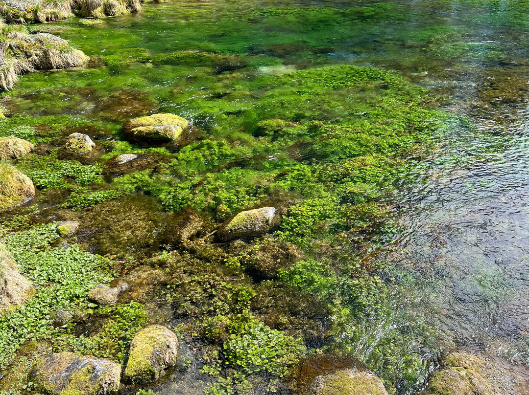 Big Springs景点图片