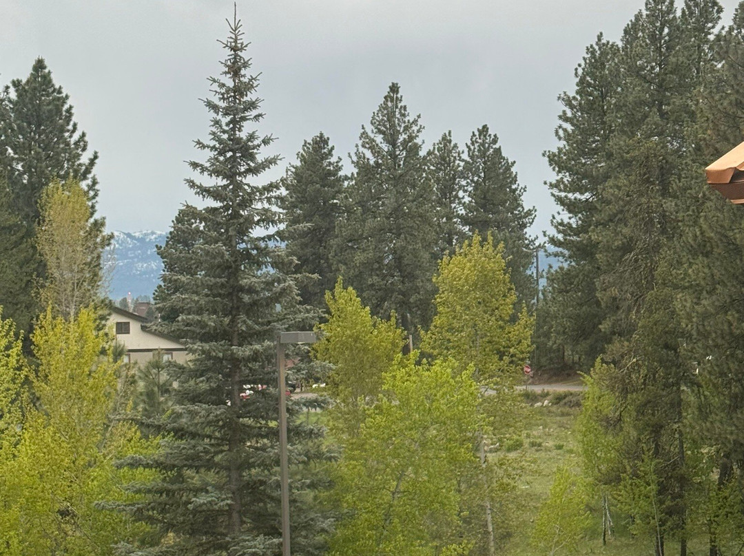 The Evergreen Hotel主图