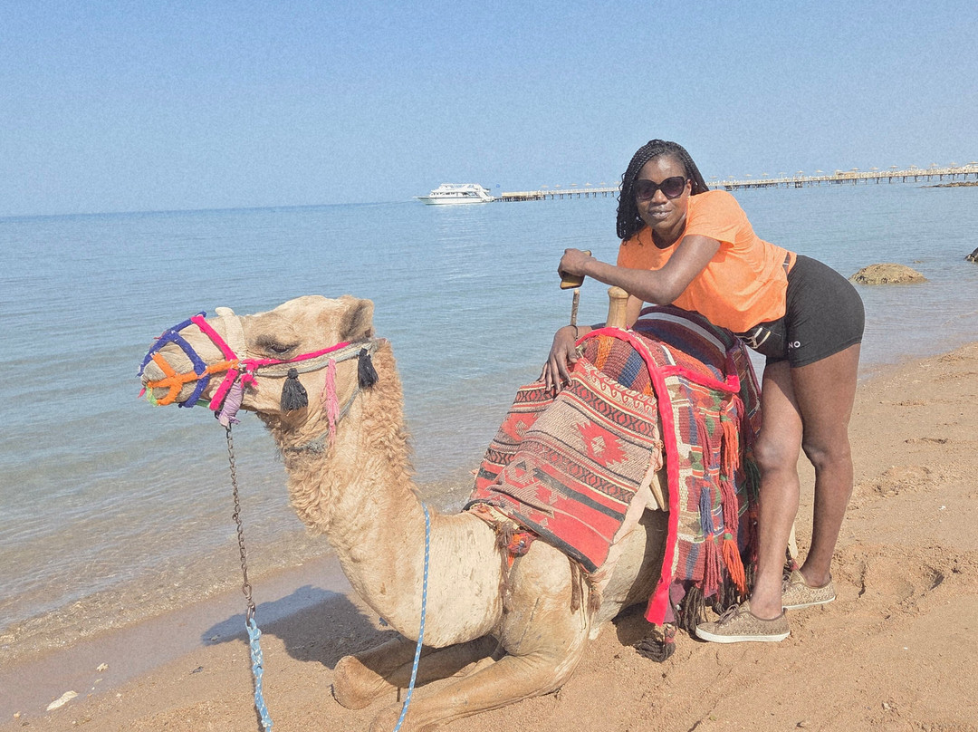 Trip Adventure-赫尔格达必去景点