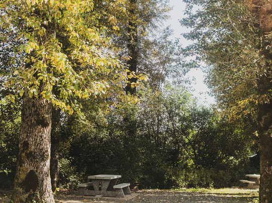 Kilby Park-Harrison Mills必去景点