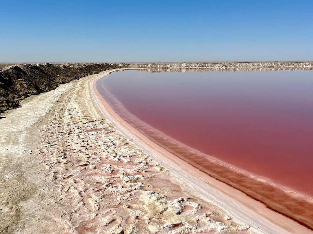 Dorob National Park-Gobabeb必去景点