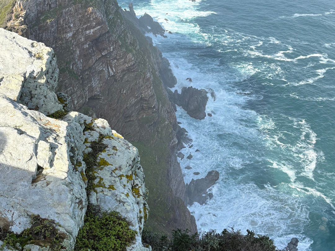 Cape Tours With Mac-开普敦中心区必去景点