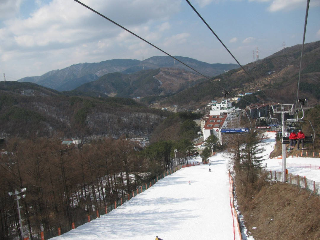 Bears Town Resort-抱川市必去景点