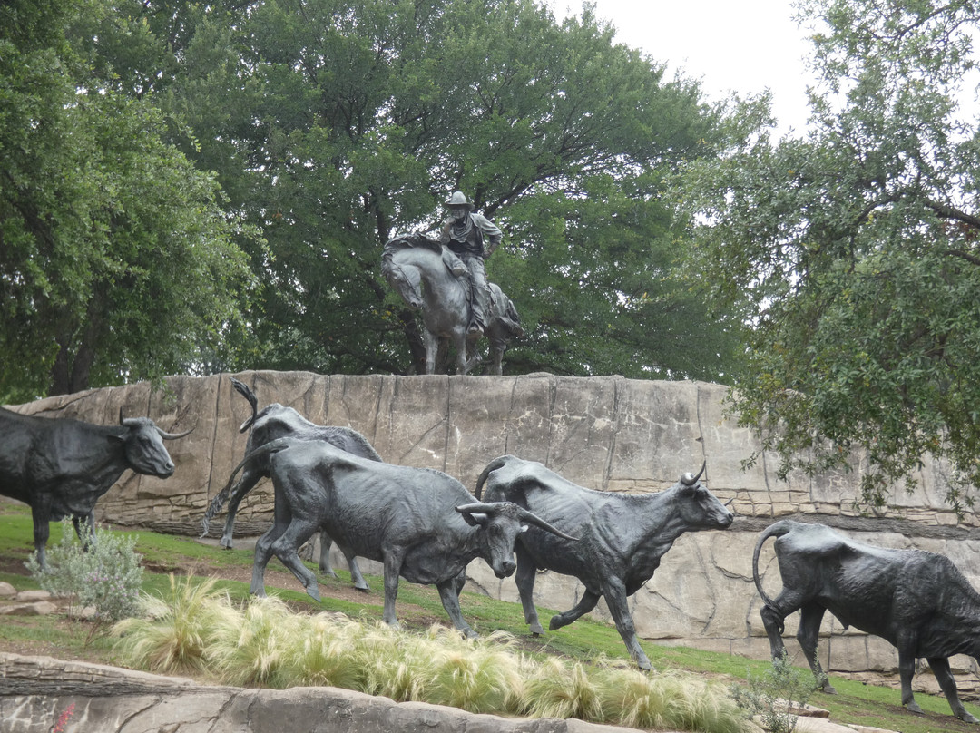 Dallas Cattle Drive Sculptures-达拉斯必去景点