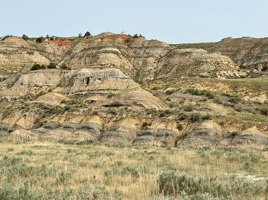 North Unit-Theodore Roosevelt National Park必去景点