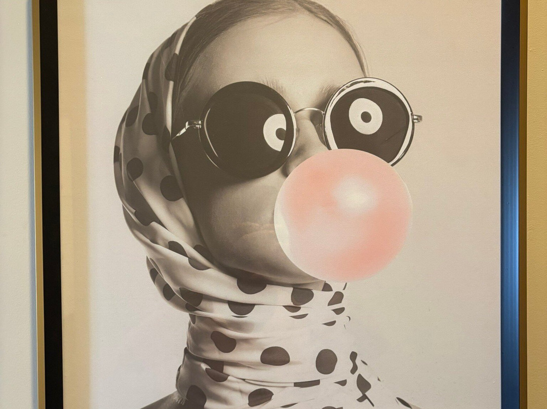 The Audubon Inn主图