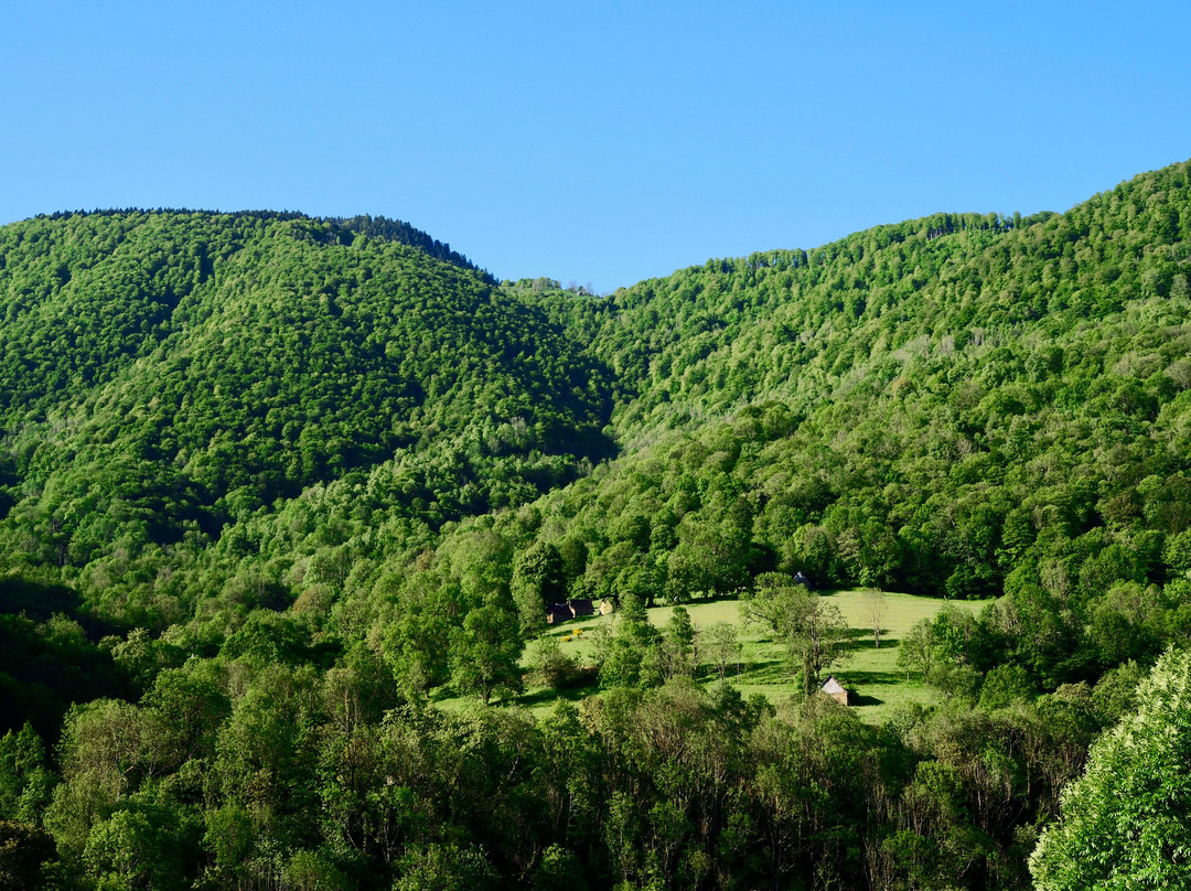 Le Petit Refuge主图