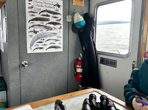 Alaska Sea to Shore-朱诺必去景点