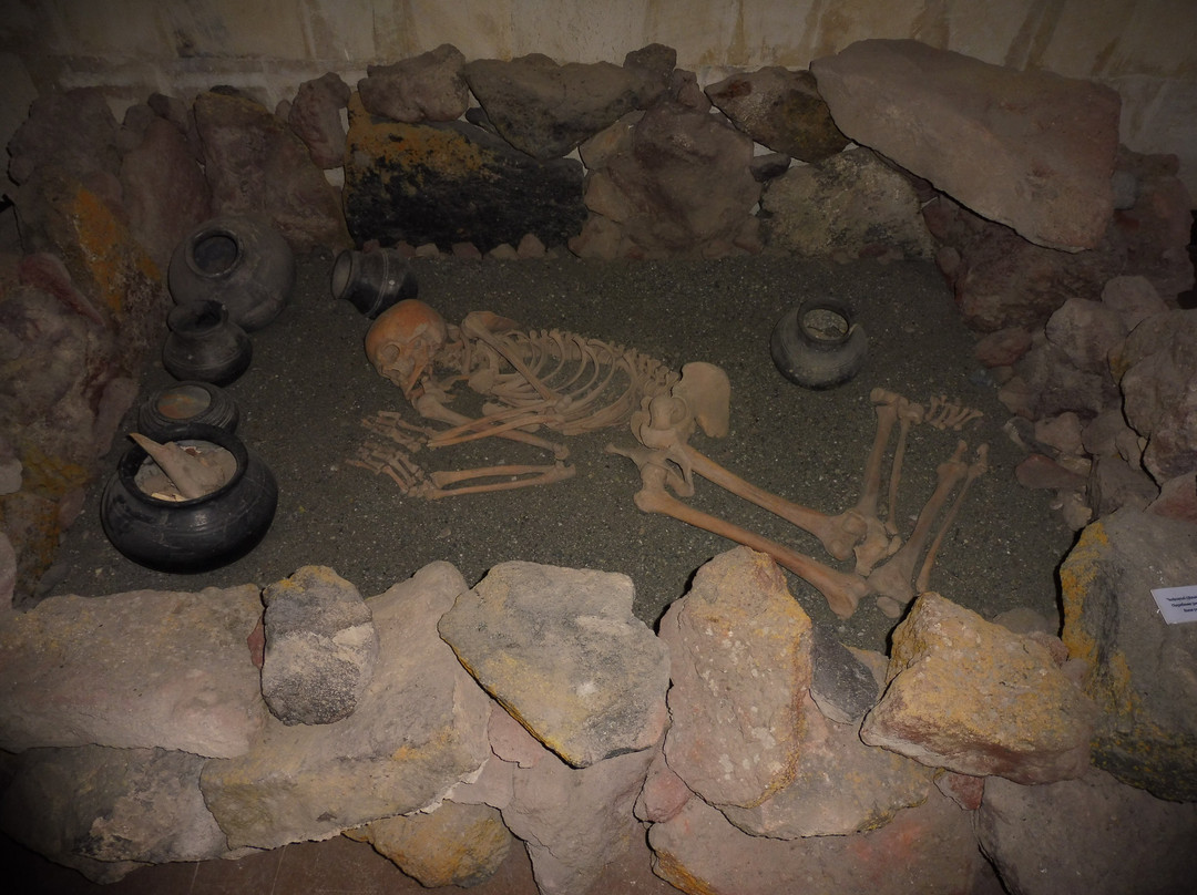 Metsamor Historical-Archaeological Museum-Reserve-Taronik必去景点