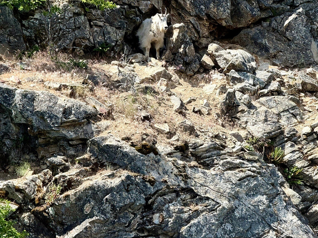 Lady of the Lake-Chelan必去景点