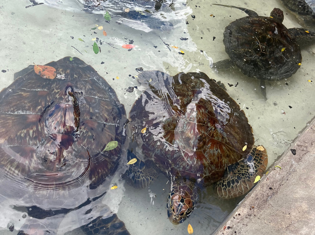 Discovery Zanzibar and Tanzania with Daniel-桑给巴尔岛必去景点