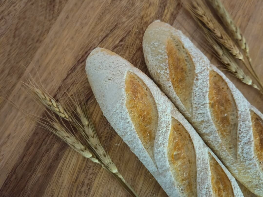 La Marina Mini Market Cap Cana